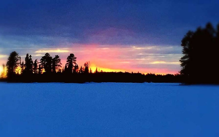 The sky appears in shades of blue, pink, orange and yellow as the sun rises or sets behind a row of trees. The snow in the foreground appears blue. 